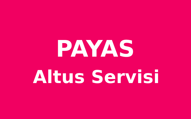 Payas Altus Servisi